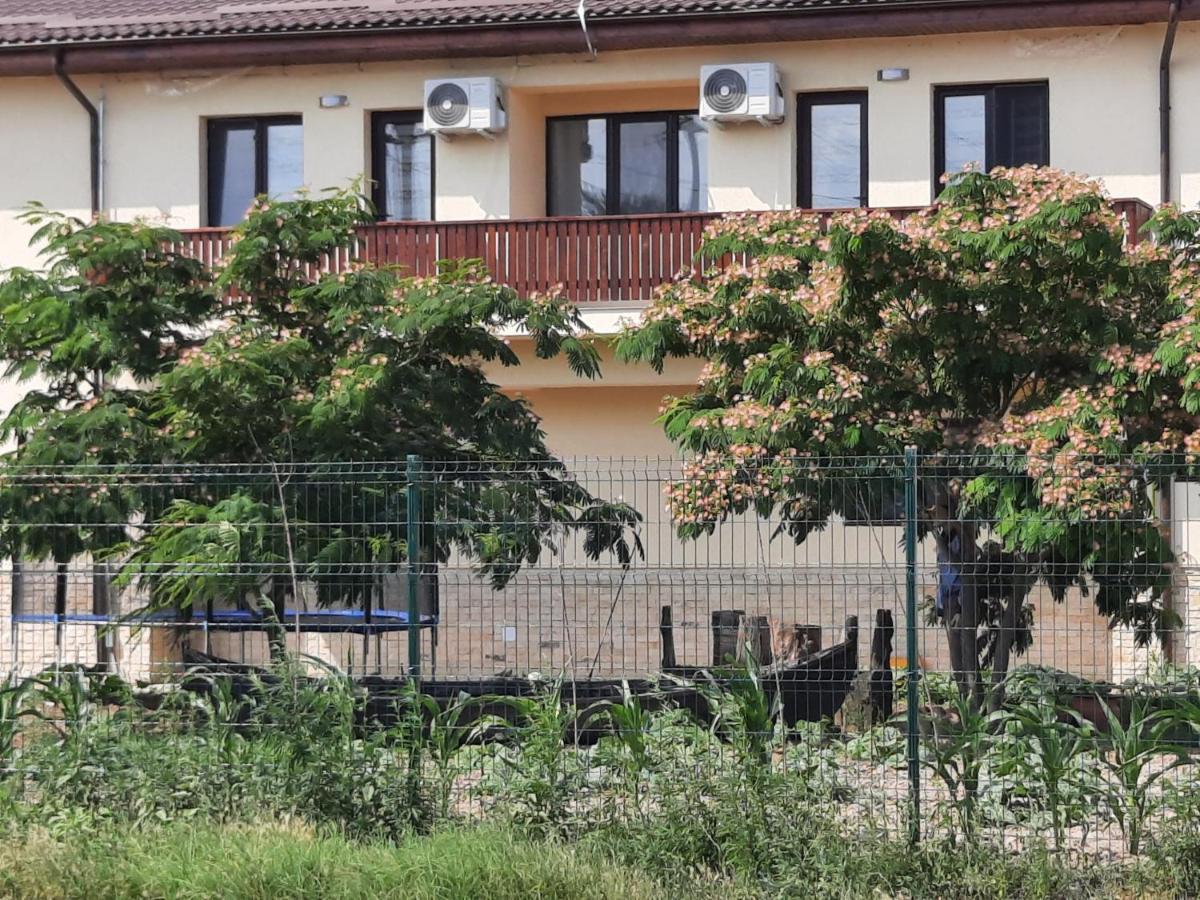 Pensiunea Camelia Baia Dış mekan fotoğraf