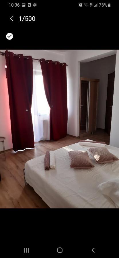 Pensiunea Camelia Baia Dış mekan fotoğraf