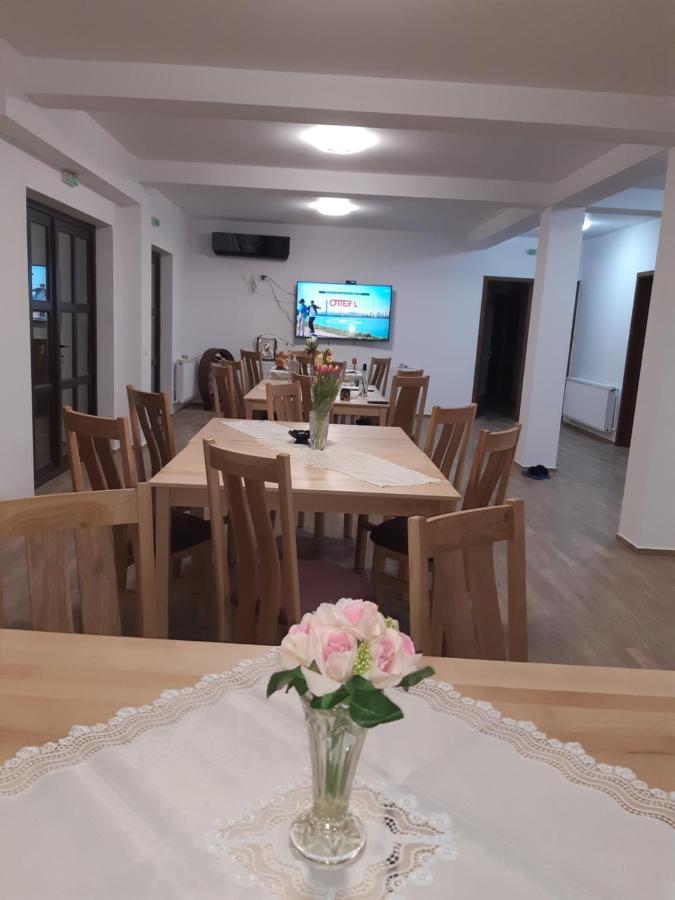 Pensiunea Camelia Baia Dış mekan fotoğraf