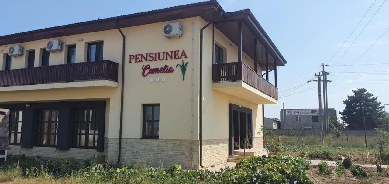Pensiunea Camelia Baia Dış mekan fotoğraf