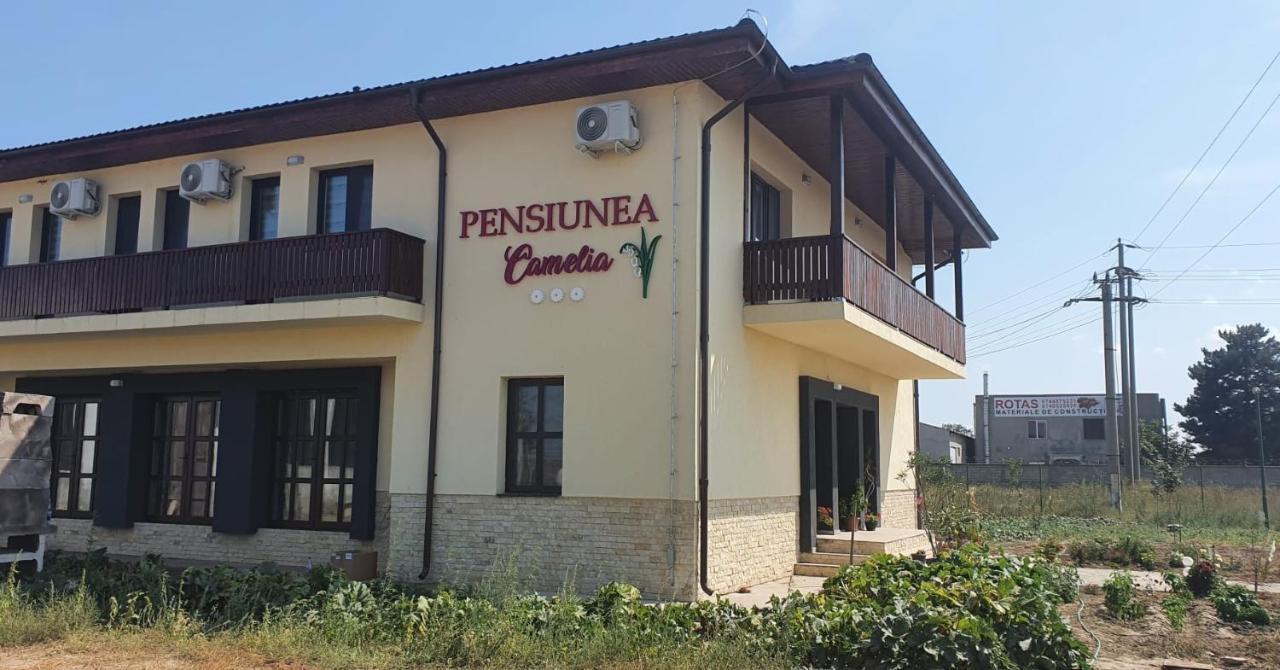 Pensiunea Camelia Baia Dış mekan fotoğraf
