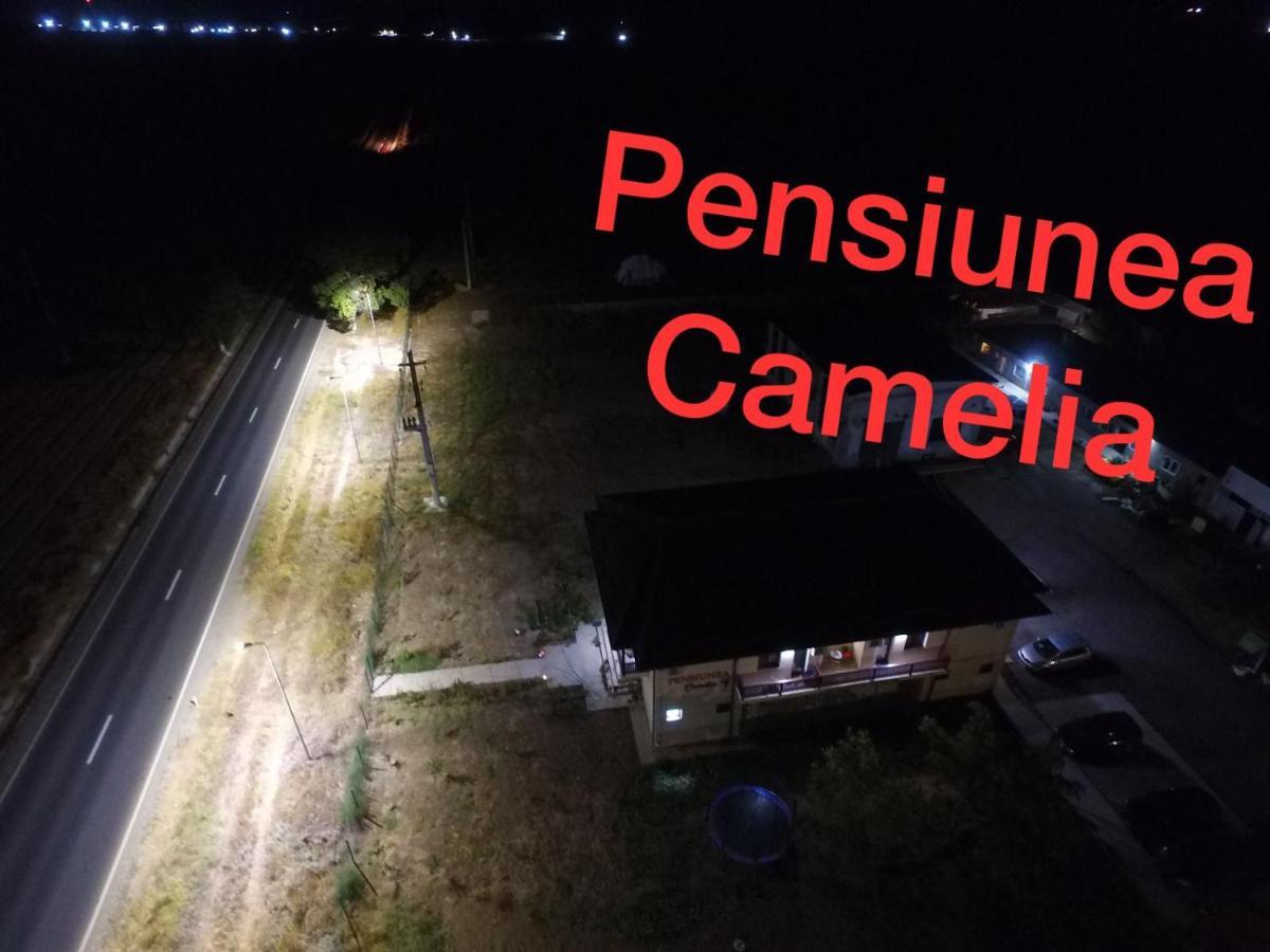 Pensiunea Camelia Baia Dış mekan fotoğraf