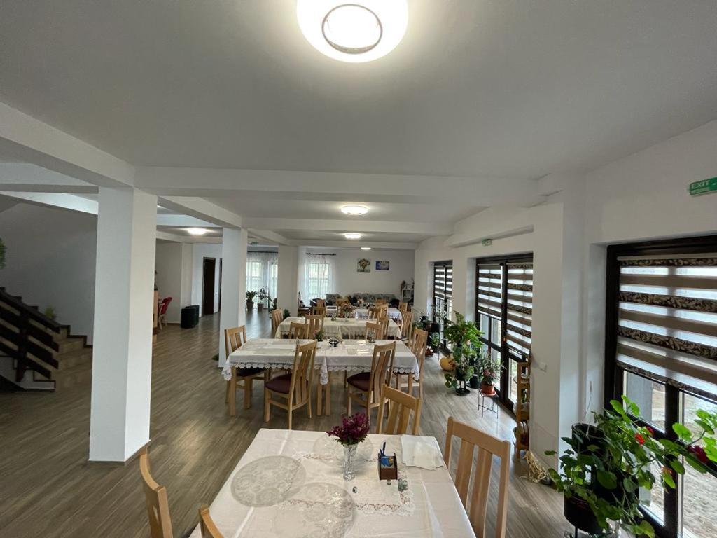 Pensiunea Camelia Baia Dış mekan fotoğraf