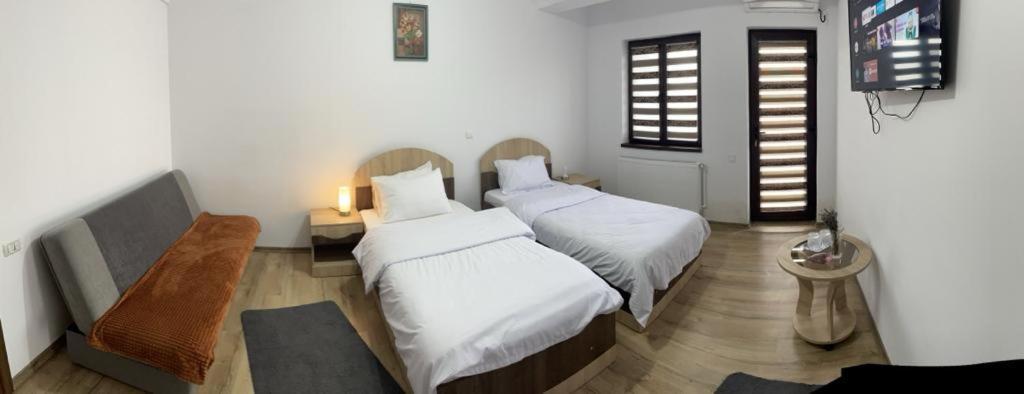 Pensiunea Camelia Baia Dış mekan fotoğraf
