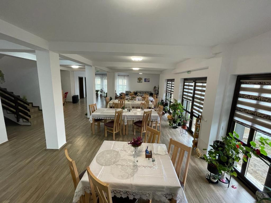 Pensiunea Camelia Baia Dış mekan fotoğraf