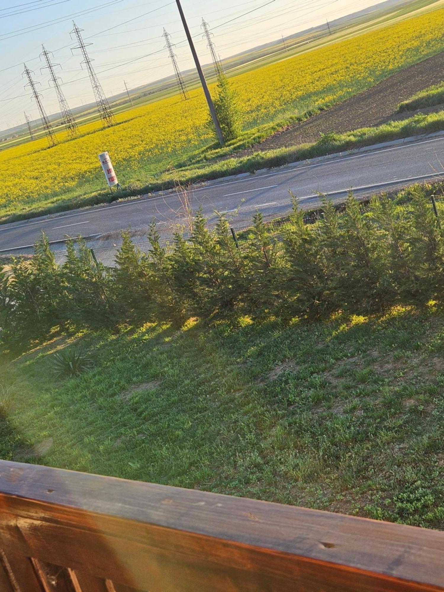 Pensiunea Camelia Baia Dış mekan fotoğraf